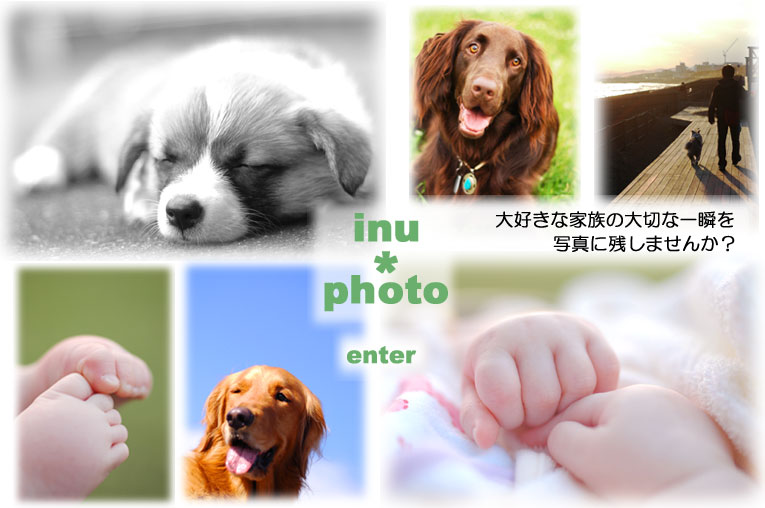 welcome to inu*photo! click to enter.
